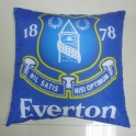 Promotion cushion